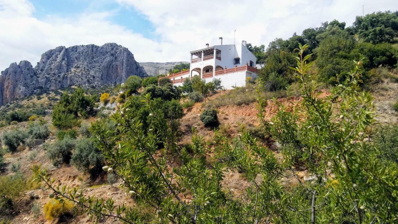Casa Encina - Encinasola Turismo Rural. Эль-Чорро Экстерьер фото